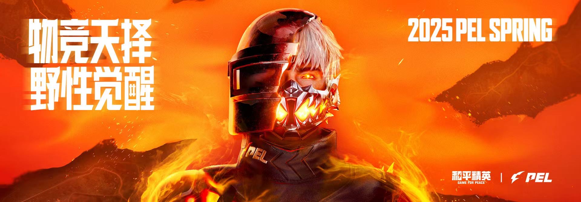 和平精英【EAD内部】辅助